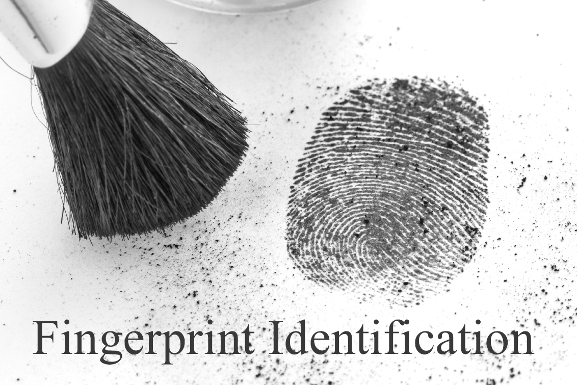 fingerprint analysis