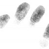 finger prints of a left hand on white background
